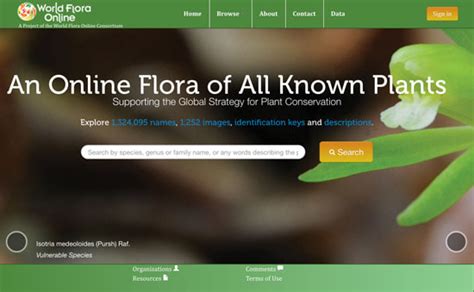 World Flora Online.